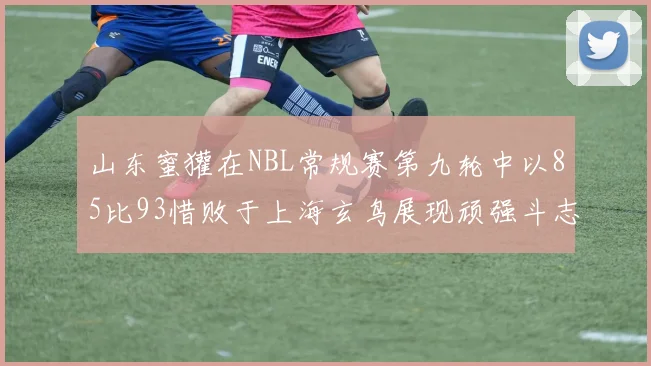 山东蜜獾在NBL常规赛第九轮中以85比93惜败于上海玄鸟展现顽强斗志